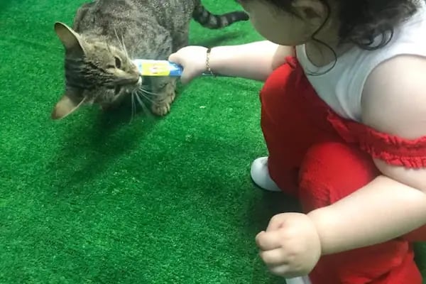 Hannevet Veteriner Kliniği - Resim 18