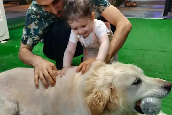Hannevet Veteriner Kliniği - Resim 6