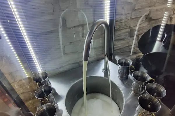 MY Ocakbaşı - Resim 12
