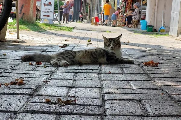 Stüdyo Fatih Adapazarı - Resim 7