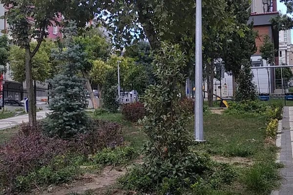 Aşık Şenlik Parkı - Resim 12