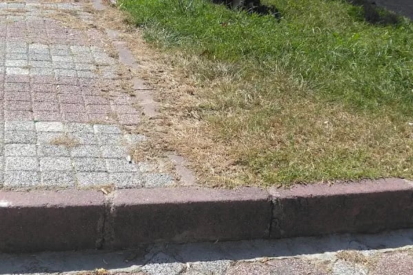 Aşık Şenlik Parkı - Resim 20