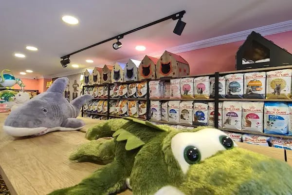 PET STYLE AQUARİUM &amp; PET SHOP - Resim 3