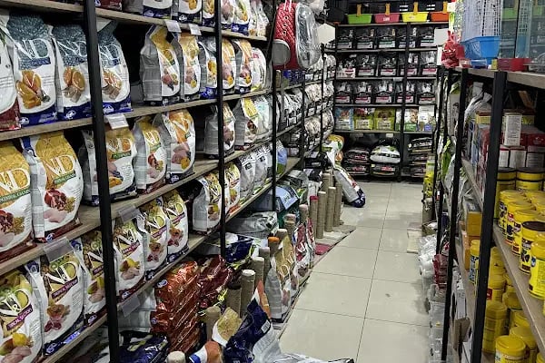 PET STYLE AQUARİUM &amp; PET SHOP - Resim 12
