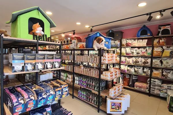 PET STYLE AQUARİUM &amp; PET SHOP - Resim 8