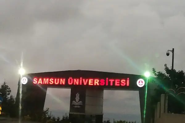 19 Mayıs - Resim 16