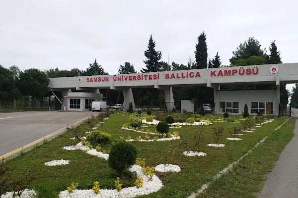 19 Mayıs - Resim 2