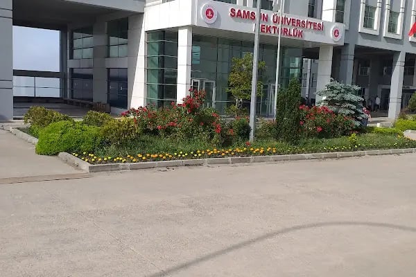 19 Mayıs - Resim 7
