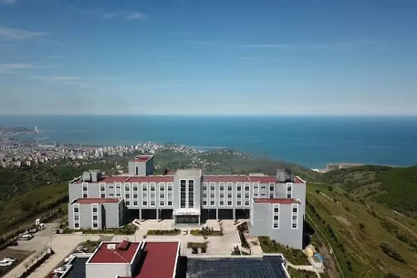 19 Mayıs - Resim 3