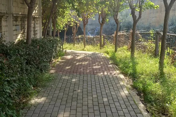 Sak Parkı - Resim 2
