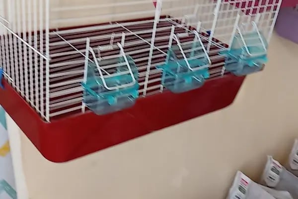 Elit Petshop - Resim 11