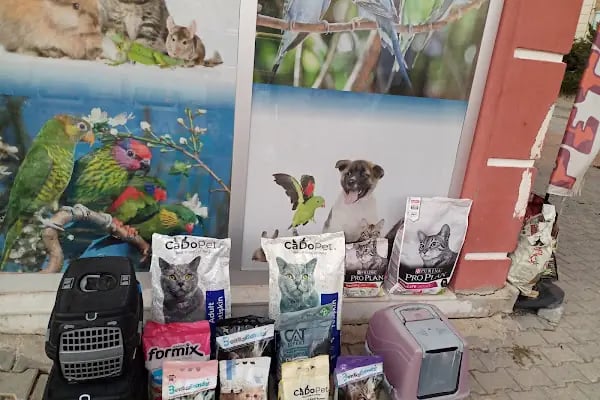 Elit Petshop - Resim 20