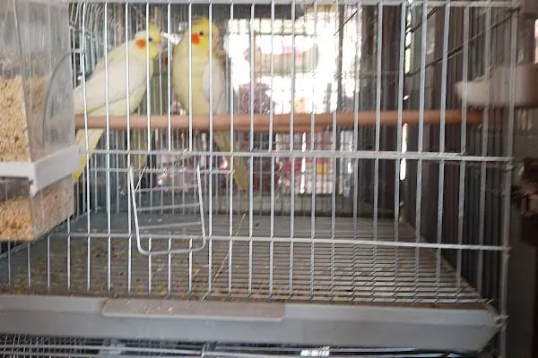 Elit Petshop - Resim 6