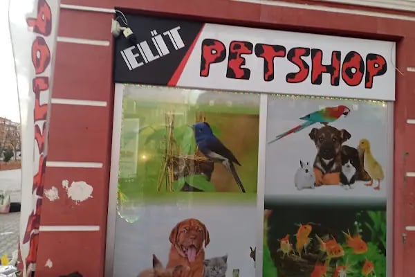 Elit Petshop - Resim 3