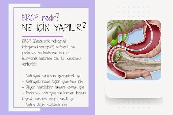Doç. Dr. Güray Can - Resim 19