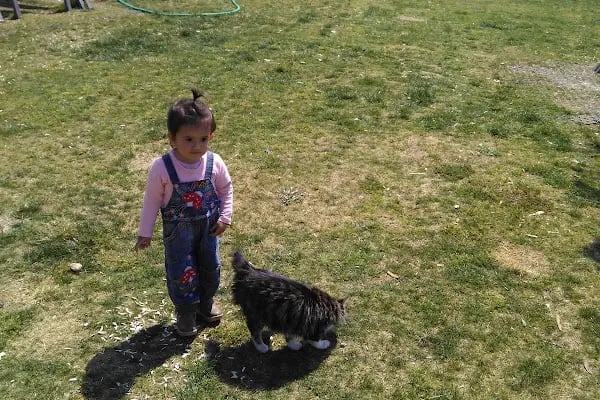 Şehit Jandarma Asteğmen Bekir Hacıismailoğulları Parkı - Resim 7