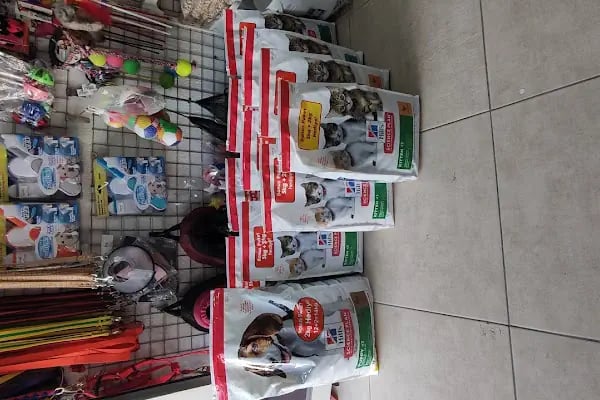 Kayahan Petshop (Akvaryum Balık Avm) - Resim 4