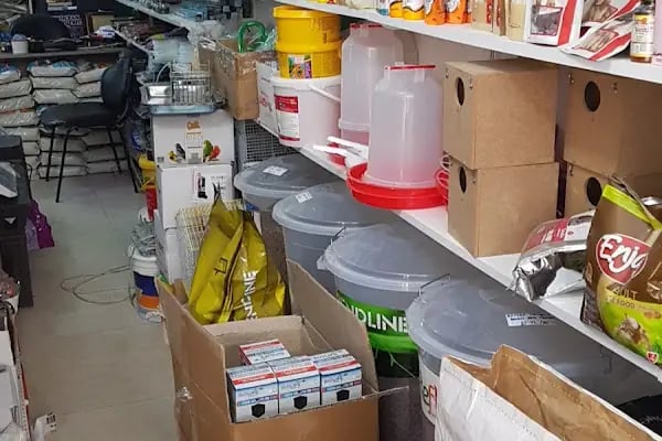 Kayahan Petshop (Akvaryum Balık Avm) - Resim 10
