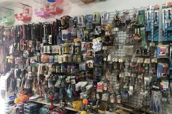 Kayahan Petshop (Akvaryum Balık Avm) - Resim 3