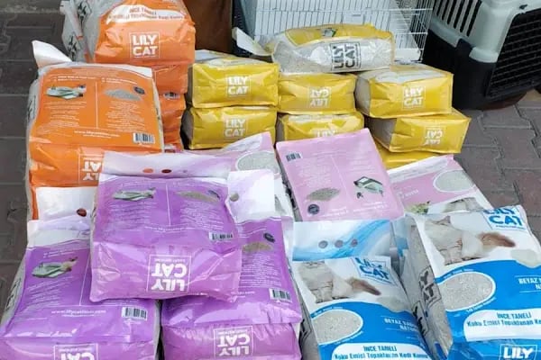 Kayahan Petshop (Akvaryum Balık Avm) - Resim 16