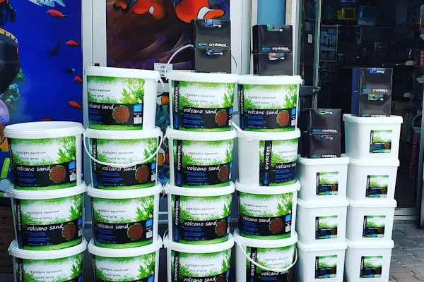 Kayahan Petshop (Akvaryum Balık Avm) - Resim 8