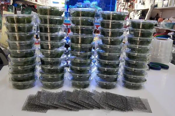 Kayahan Petshop (Akvaryum Balık Avm) - Resim 9