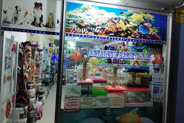 Kayahan Petshop (Akvaryum Balık Avm) - Resim 13
