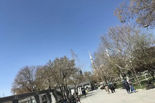 Hacı Veyis Cami - Resim 10