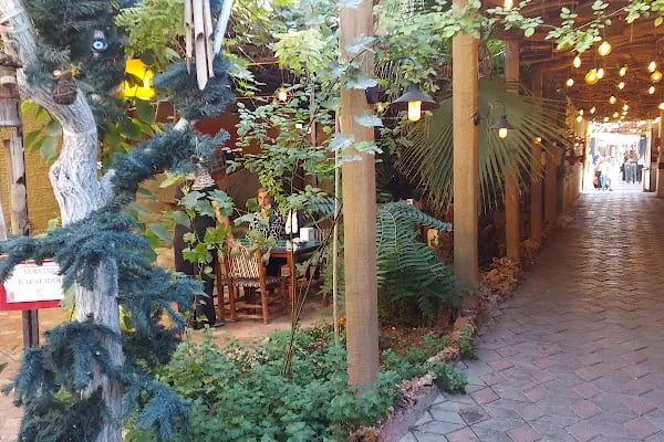 Palmiye Cafe - Resim 19