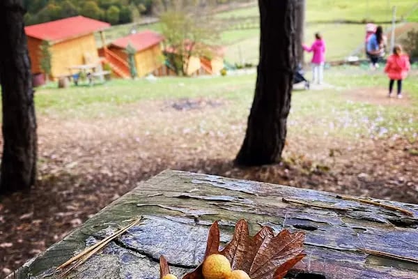 Sizmari Doğa Evleri - Resim 5