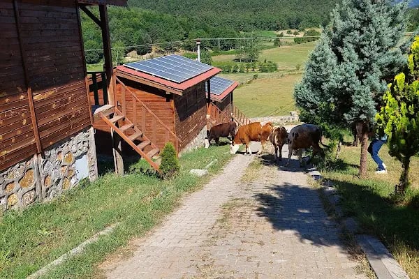 Sizmari Doğa Evleri - Resim 12