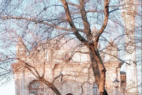 Aziziye Camii - Resim 14