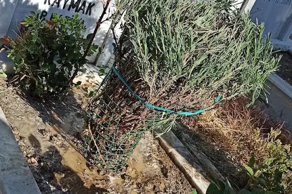 Aliyenler Mezarlığı - Resim 5