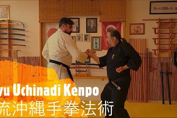 Koryu Uchinadi Kenpo - Türkiye - Resim 13