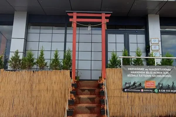 Koryu Uchinadi Kenpo - Türkiye - Resim 4
