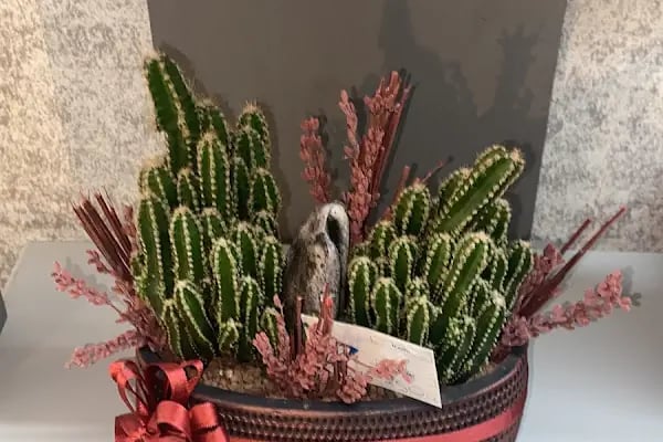 Moon Garden Cicek Evi - Resim 17