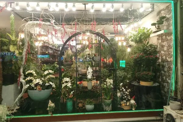 Moon Garden Cicek Evi - Resim 16