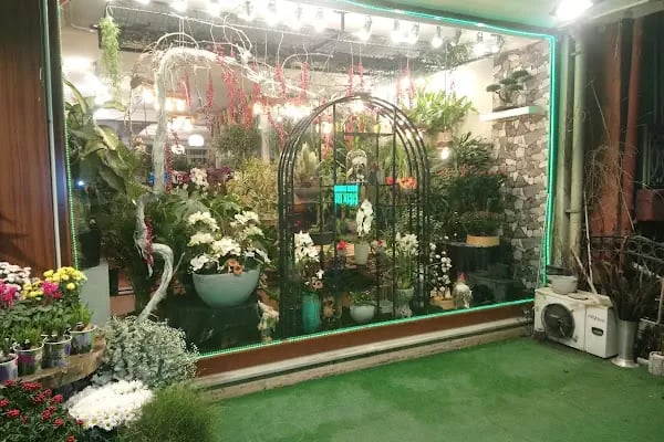 Moon Garden Cicek Evi - Resim 2