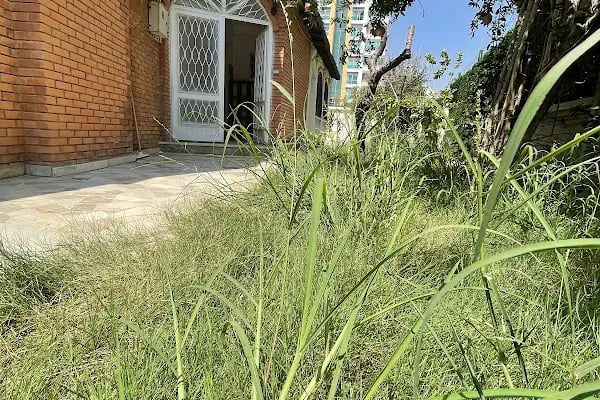 Özel Akdeniz Koleji Montessori Anaokulu - Resim 16