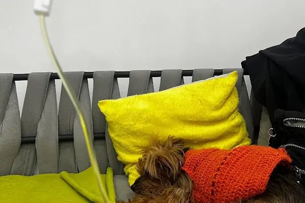 Bahçelievler Veteriner Kliniği | Bambi Veteriner - Resim 13