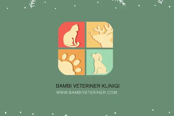 Bahçelievler Veteriner Kliniği | Bambi Veteriner - Resim 19