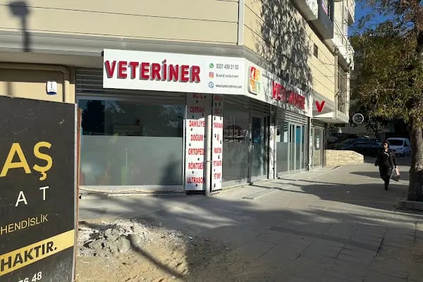 Bahçelievler Veteriner Kliniği | Bambi Veteriner - Resim 15
