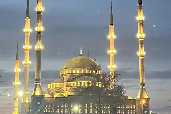 Taşoluk Yeşil Cami - Resim 5