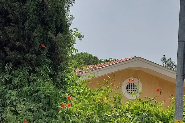Rum Kilisesi - Resim 16
