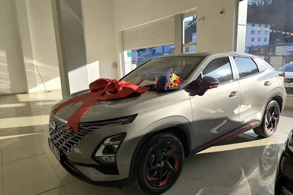 Chery Plaza BLF - Resim 12