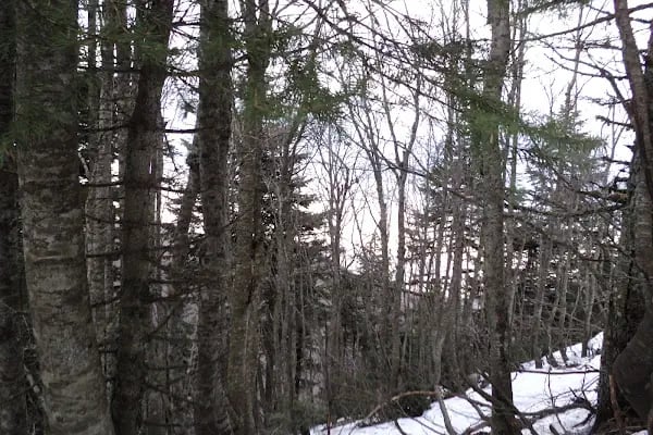 Aziz’s Falls - Resim 5