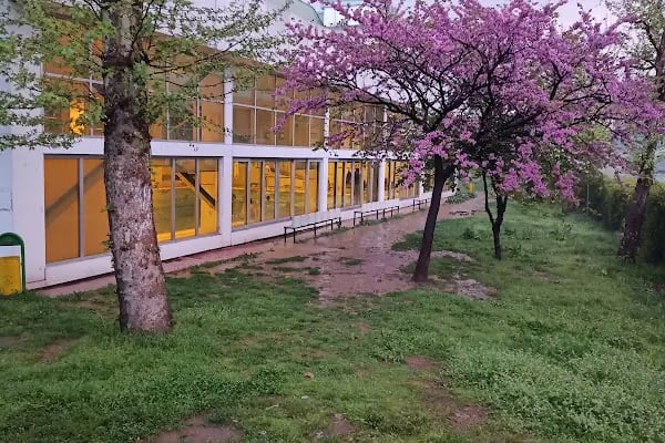 Atıcılar Olimpik Yüzme Havuzu Cimnastik Salonu - Resim 10