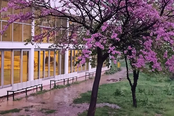 Atıcılar Olimpik Yüzme Havuzu Cimnastik Salonu - Resim 3