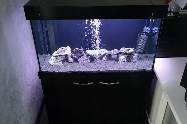 Ortadoğu Akvaryum ve Pet Shop - Resim 16