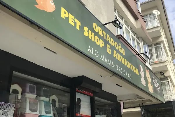 Ortadoğu Akvaryum ve Pet Shop - Resim 2